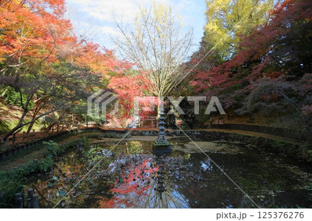 秋の深まり　石塔　五重塔 125376276