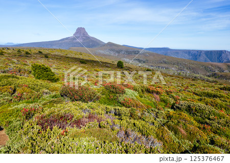 Barn Bluff Morning View in Tasmania Australia 125376467