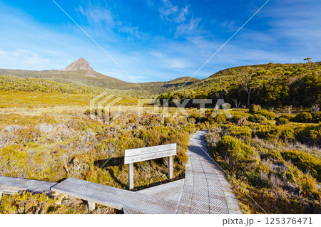 Barn Bluff Morning View in Tasmania Australia Barn Bluff Morning View in Tasmania Australia 125376471