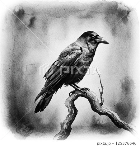 墨絵風 烏の絵 125376646