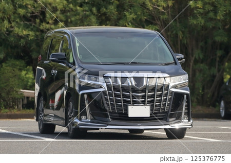 駐車中の黒い高級ミニバン イメージ 駐車中の黒い高級ミニバン イメージ 125376775