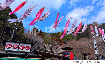 【山口県】いろり山賊のこいのぼり 【山口県】いろり山賊のこいのぼり 125376870