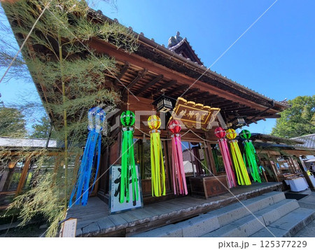 荘内神社 荘内神社 125377229