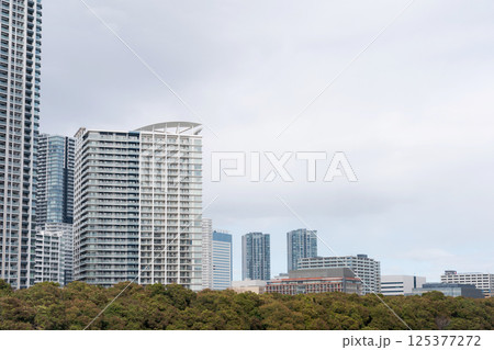 東京の空と高層ビル群 125377272