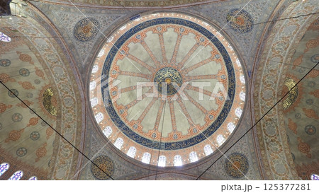 イスタンブール ブルーモスク 125377281