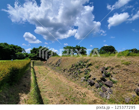 岩手県九戸城址 岩手県九戸城址 125377295