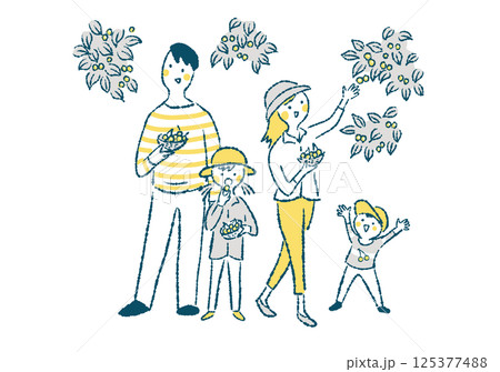 さくらんぼ狩りをしている笑顔の4人家族のシンプル手描きイラスト さくらんぼ狩りをしている笑顔の4人家族のシンプル手描きイラスト 125377488