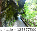 岩のトンネル 125377500