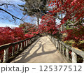 紅葉に包まれた橋 125377512