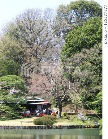 六義園の吹上茶屋(東京都文京区) 六義園の吹上茶屋(東京都文京区) 125377577