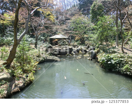 六義園の滝見茶屋（東京都文京区） 125377853