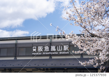 阪急嵐山駅と満開の桜 125377930