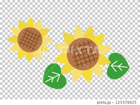 向日葵花 向日葵花 125378025