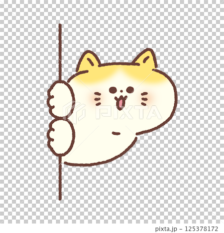 壁からひょっこり顔を出した可愛い猫 壁からひょっこり顔を出した可愛い猫 125378172