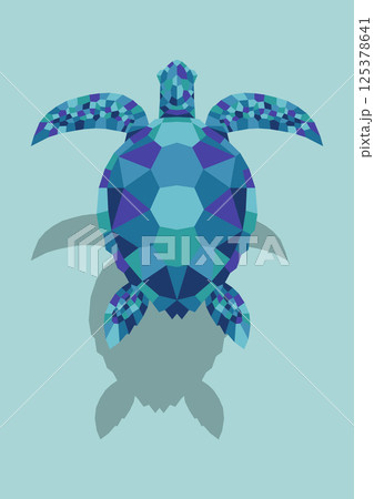 ウミガメ ウミガメ 125378641