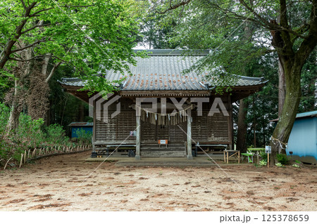 奇祭アワアワ祗園で知られる竹原神社社殿【茨城県小美玉市】 125378659