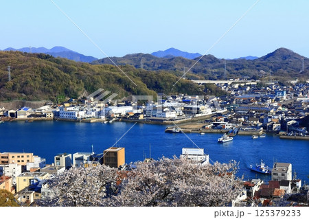 【広島県】桜咲く春の千光寺から見た尾道の町並み 125379233