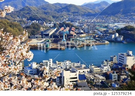 【広島県】桜咲く春の千光寺から見た尾道の町並み 125379234