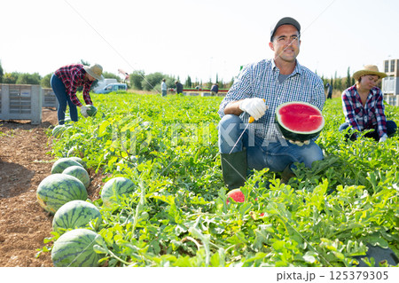 Man posing in field with watermelons crop Man posing in field with watermelons crop 125379305