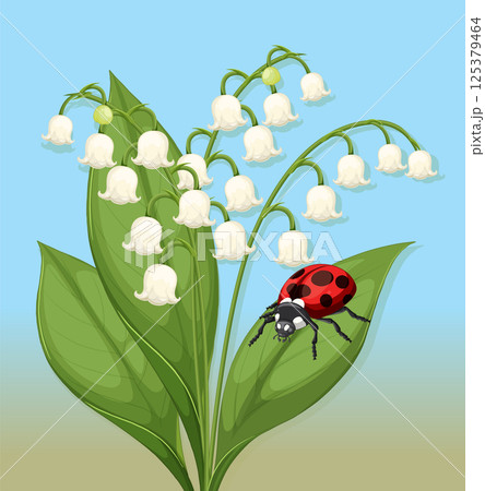 Ladybug on Lily of the Valley Illustration Ladybug on Lily of the Valley Illustration 125379464