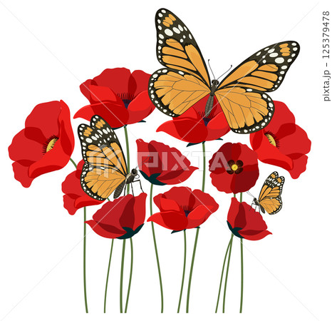 Monarch Butterflies Resting on Red Poppies Monarch Butterflies Resting on Red Poppies 125379478
