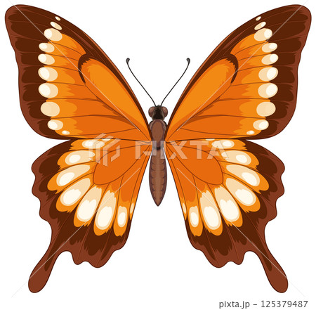 Vibrant Orange Butterfly Vector Illustration Vibrant Orange Butterfly Vector Illustration 125379487