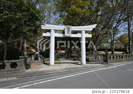 美しい白い神社の鳥居 美しい白い神社の鳥居 125379616