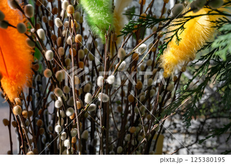 Pussy willow branches with colorful feathers in spring sunlight close-up 125380195