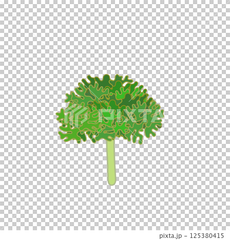 歐芹的插圖 125380415