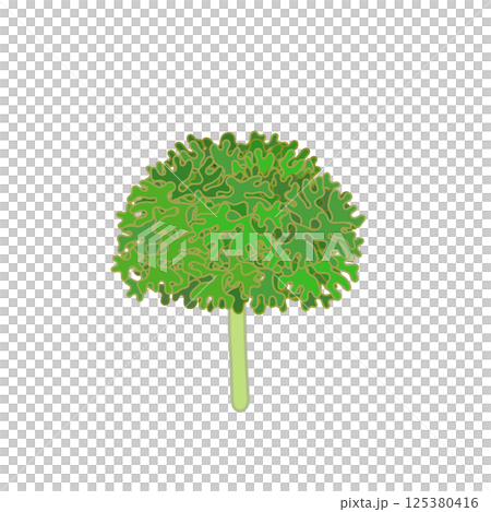 パセリのイラスト 125380416