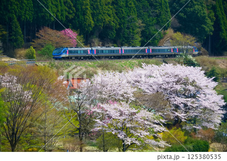 春を行く 125380535