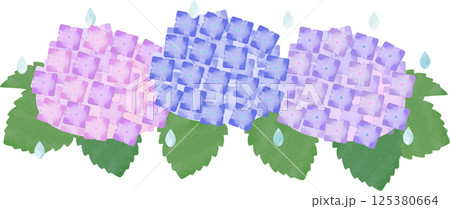 雨と紫陽花 125380664