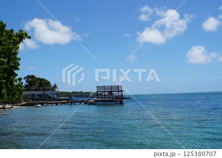 メリッソ桟橋　グアム 125380707