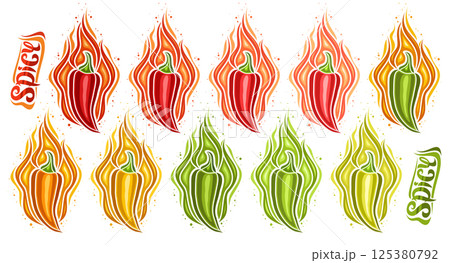 Vector Spicy Chili Pepper Set Vector Spicy Chili Pepper Set 125380792