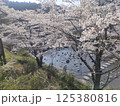 桜 125380816