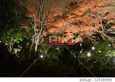 椿山荘の夜景 125380993