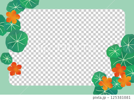 ナスタチウムのフレーム横 125381081