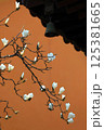 Magnolia Blossoms Against Temple Wall 125381665