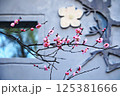 Pink Plum Blossoms Against a Textured Wall 125381666