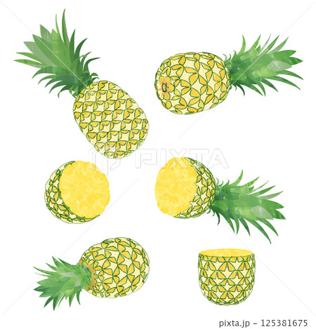 水彩風パイナップルのカットパインのイラストセット 125381675