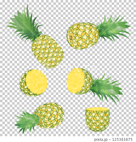 水彩風パイナップルのカットパインのイラストセット 125381675