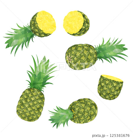 水彩風パイナップルのカットパインのイラストセット 125381676