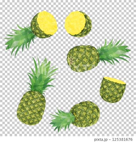 水彩風パイナップルのカットパインのイラストセット 125381676