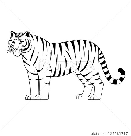 Tiger Outline Illustration Tiger Outline Illustration 125381717