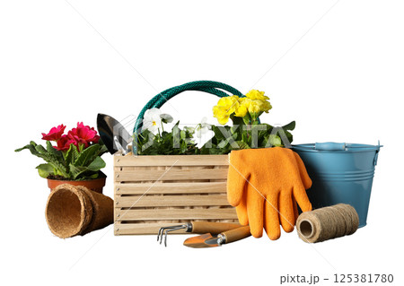 Gardening, Colorful flowers and tools neatly arranged for planting activities, isolated on white, PNG Gardening, Colorful flowers and tools neatly arranged for planting activities, isolated on white, PNG 125381780
