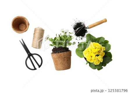 Gardening tools and bright flowers displayed on a white background, isolated on white, PNG 125381796