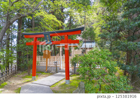 京都　法輪寺鎮守社　電電宮 125381916