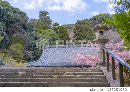 京都　虚空蔵法輪寺　桜と本堂 125381920