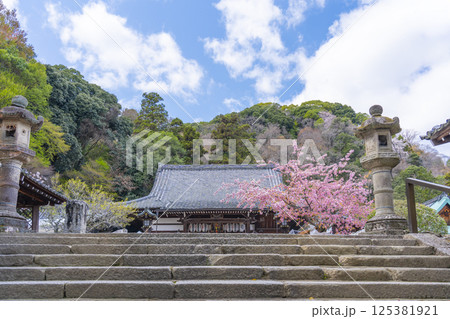京都　虚空蔵法輪寺　桜と本堂 125381921