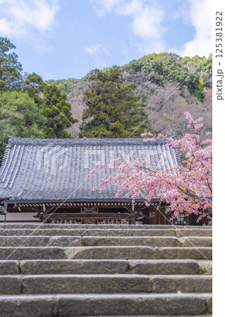 京都　虚空蔵法輪寺　桜と本堂 125381922